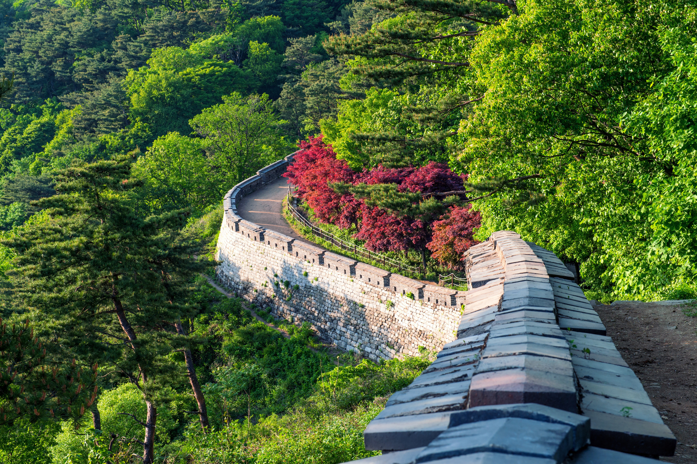 gwangju, honam (3).webp